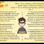 Todo lo esencial del artículo 17 con nuestros abogados expertos