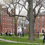 Universidades de derecho favoritas de los multimillonarios del mundo